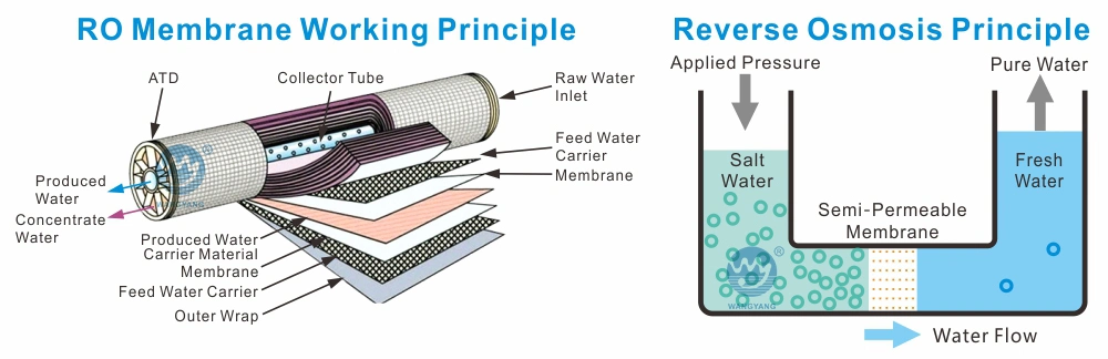 Hot Sell Sea Water Filtration Plant RO Membrane 4040 Price in Seafood Aquaculture